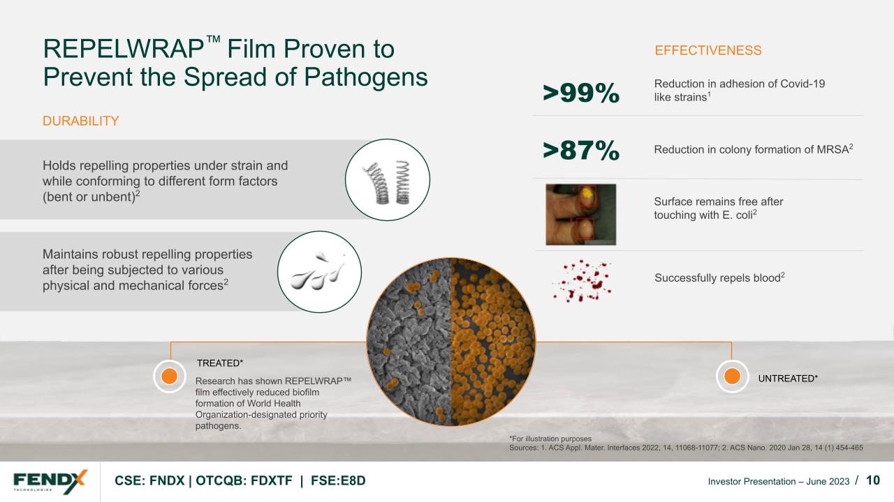 FendX Investor Deck The Momentum Letter