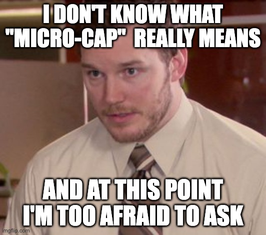 I dont' know what "micro-cap" really means and at this point I'm too afraid to ask